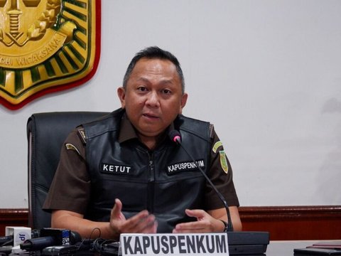 Kepala Pusat Penerangan Hukum Ketut Sumedana